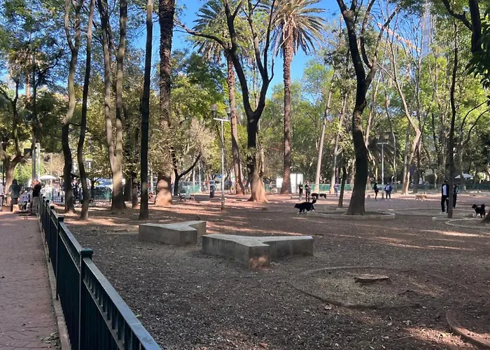 Condesa Campeche 5 Modern 2br 1ba Emphasizing Open Airy Spaces In Campeche *